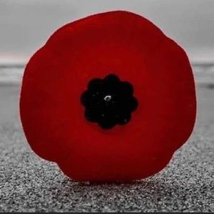 Meet your Posher, Lilly